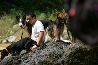 Four dogs and a man are sitting on rocks with a body of water surrounding them