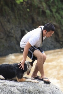 Close Up - Hitman the Panda Shepherd is laying on a boulder and his owner is climbing down