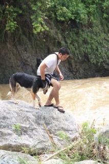 Hitman the Panda Shepherd and his owner are climbing off of a boulder