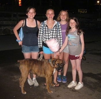 Bruno the Boxer posing for a picture with some kids