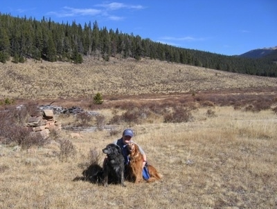 A person and two Retrievers a kneeling in a field for a picture. There is a large line of trees behind them.