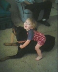 A toddler-sized child in a red striped onesie is laying on the back of a black and tan Rottweiler dog. There is a person sitting on a couch in the background.