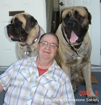Two Mastiffs and a Person are sitting in front of a door at the top of stairs