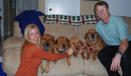 Four Ba-Shars laying on a couch in-between a man and a lady