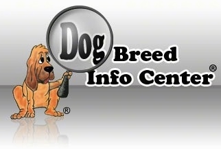 Dog Breed Info Center(R) DBIC