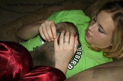 A tan with black English Mastiff puppy is wearing a green collar laying on the chest of a blonde haired girl who is wearing a green shirt and shiny red pants and laying on a brown couch.