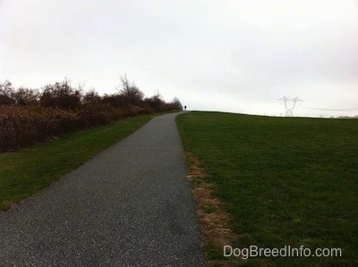 A walkway that is next to a field.