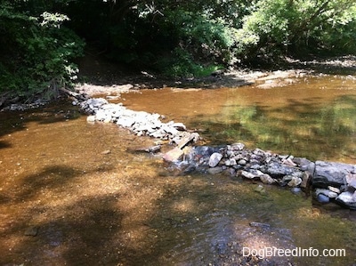 A rock bridge across a stream of water.