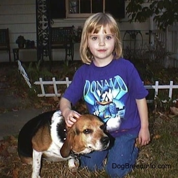 A little girl wearing a Donald Duck shirt kneeling down outside with Frank the Beagle