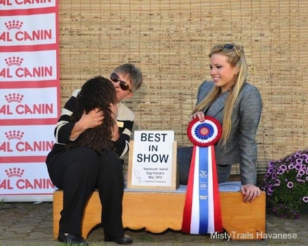 A Corded Havanese is sitting in the lap of a lady and it is face to face with her. There is a lady in a grey suit dress who is holding a red, white and blue ribbon