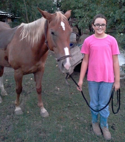A brown with white Quarter horse is standing in grass and next to it is a girl in a hot pink shirt holding the horses reins