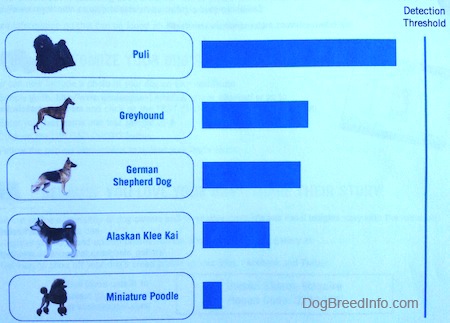 Chart of the breeds that are in Oakley