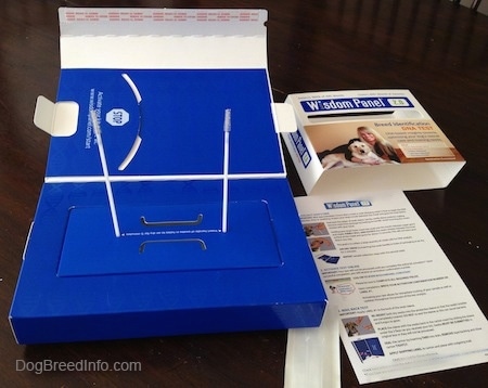 A dog DNA test kit