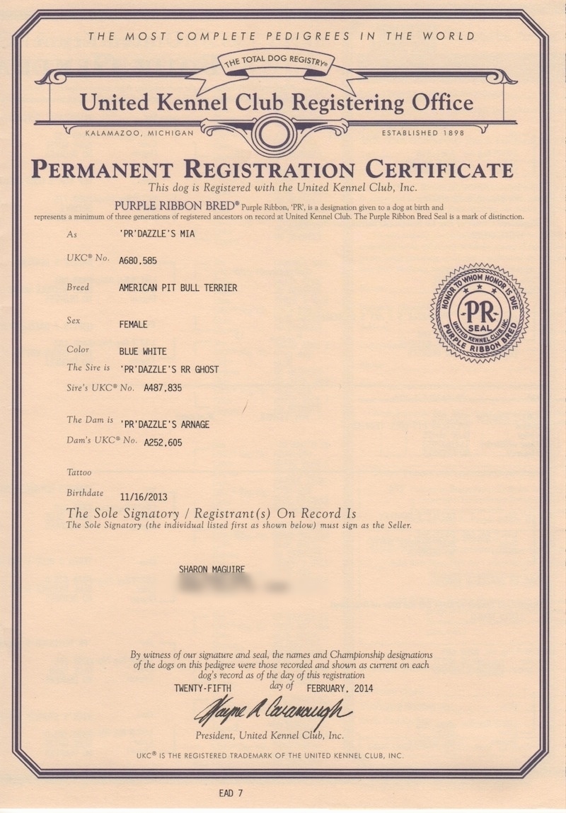 A United Kennel Club Registering Office Registration Certificate