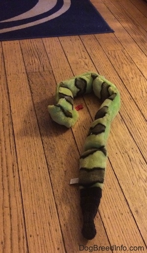 A green toy snake is laying on a hardwood floor.