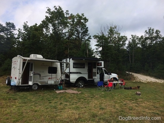 A Tiger Adventure Vehicle RV camper attached to a trailer on the side of a field next to trees with three dogs laying on grass in front of it.