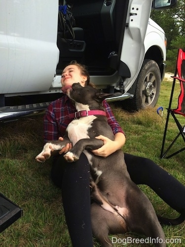 A girl is sitting in grass and she is getting her face licked by a blue nose American Bully Pit that is in between her legs. They are sitting on the ground in front of a Ford based Tiger Adventure Vehicle RV.