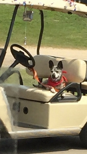 The front right side of a Bo-Dach that is laying across the seat of a golf cart
