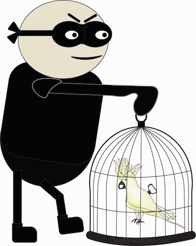 A drawing of a man dressed in black with a black mask over its eyes holding a bird cage with a yellow cockatoo bird in it.