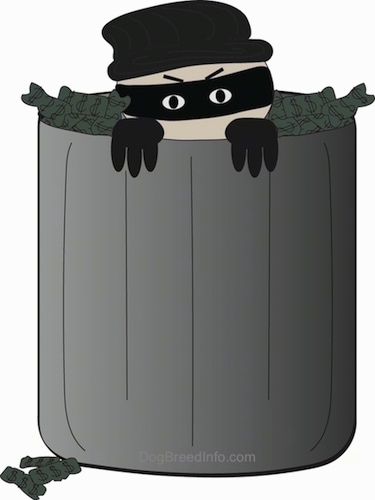 A robber in a black mask and black hat inside of a gray trash can full of money.