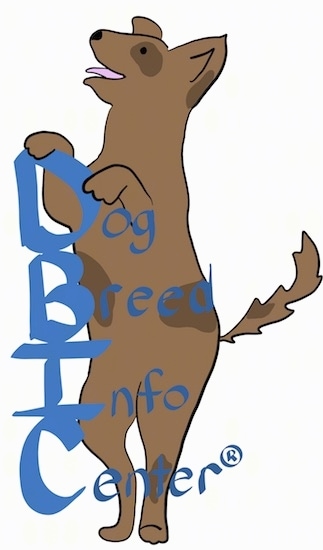 A drawling of a dog on its hind legs with the words Dog Breed Info Center(R)