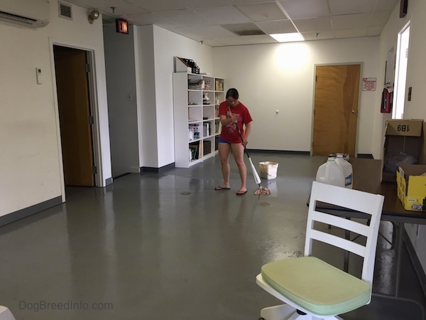 A girl in all red is mopping the floors at the Dog Breed Info Center(R)'s office.