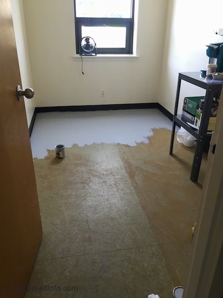 A brown floor in the middle of being painted gray inside a small storage room with a coffee maker on the left and a fan in the window.