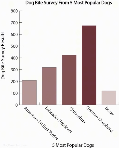 A graph showing the 5 most popular dog breeds and where they rank in dog bites