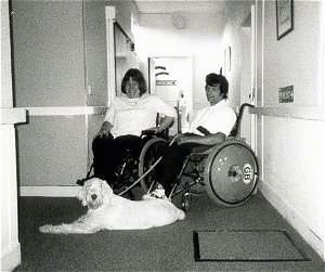  Zekey the Italian Spinone is laying in the middle of a hallway. There are two people in wheelchairs behind him.