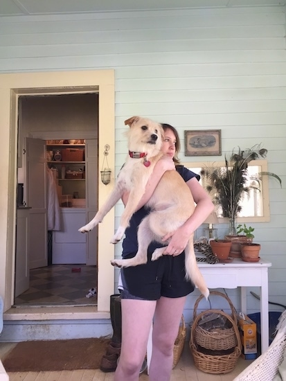 A lady holding a wiry looking tan dog with long legs on the porch of a light green house. the person and the dog are both looking to the right.