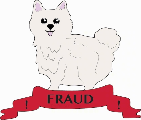 A drawn fluffy white Pomeranian puppy standing on a red banner that says Fraud on it.-