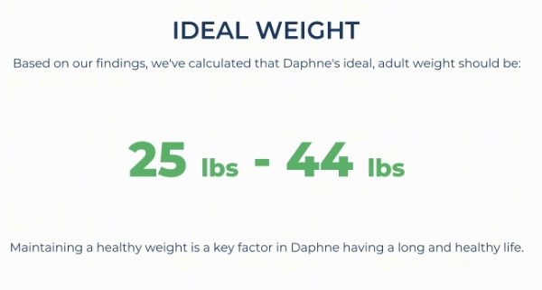 A DNA test graphic showing the ideal weight of the tested dog to be 25 to 44 pounds.