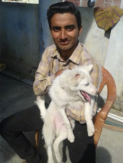 A man in a tan and yellow shirt outside sitting in a wooden chair holding a small fluffy white dog outside on a concrete patio.