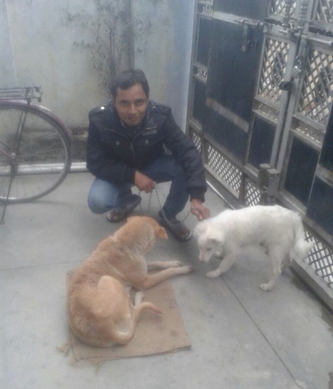 A man in a black jacket kneeling down next to a brown large dog who is laying on a tan mat and a small white fluffy puppy who is looking at the brown dog outside on a concrete patio. There is a bicycle next to them.