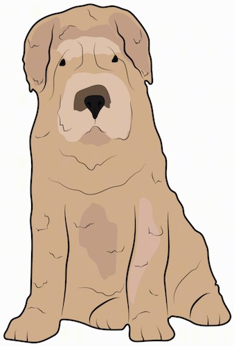 Front view drawing of a tan, thick, droopy, blocky dog with extra skin, small eyes and small ears that hang down to the sides sitting down leaning to the left.