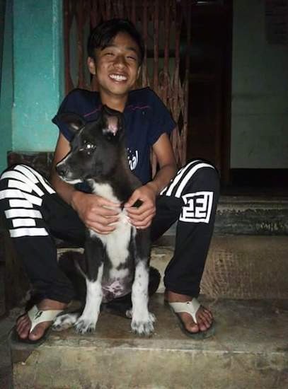 A smiling boy sitting on a step with a black and white puppy that has perk ears that fold over slightly at the tips in front of him looking to the left next to a green wall.