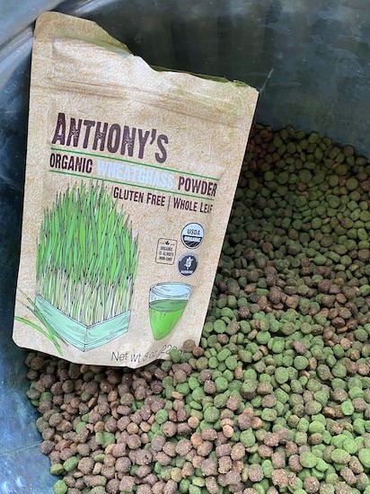 Brown dog food kibble with green wheat grass powder mixed into it inside of a metal trash can