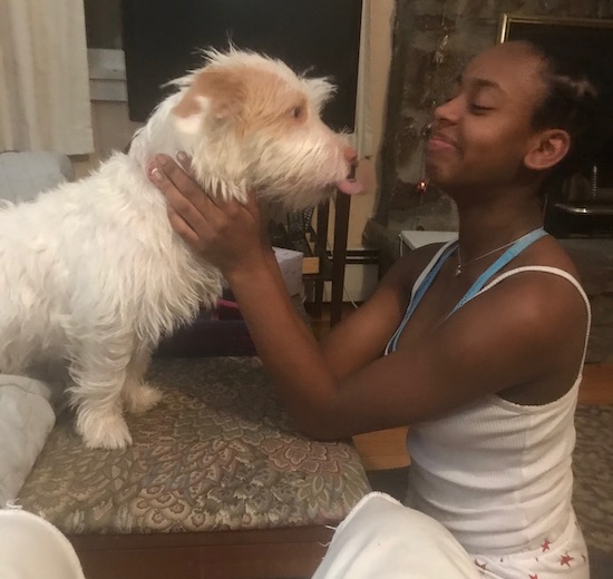 A small white and tan dog sitting on an ottoman licking towards a little girl who has her hands on his neck as she looks at him smiling.