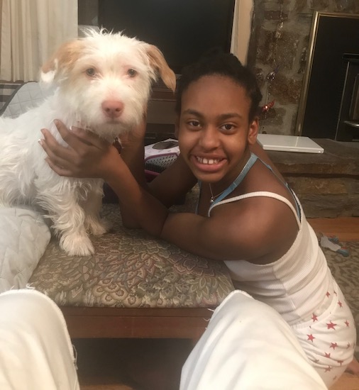 A small white and tan dog sitting on an ottoman with a little girl with her hands on his sides smiling next to him