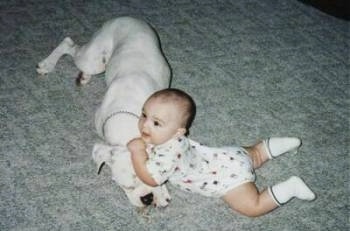 A baby is laying on its belly on a tan carpet with its front end on top of a large white dog.