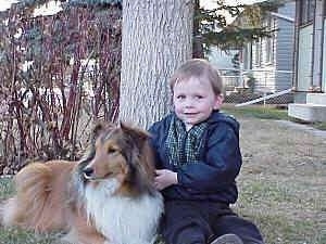 A boy in a blue jacket is sitting against a tree and next to him is a tan with white and black Shetland Sheepdog that is looking to the left.