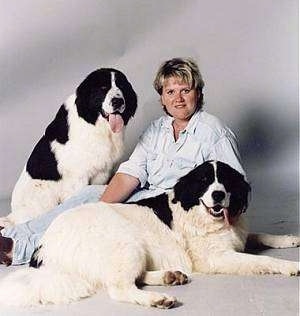 A short-haired blonde haired lady is sitting on a white backdrop. There are two dogs around her, one in the front and one behind. The Landseer behind her is sitting.