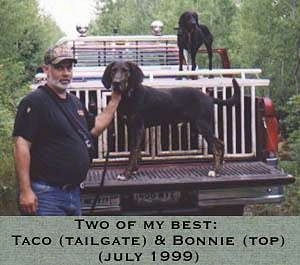 A black Plott Hound is standing on the back of a truck bed and a person is petting the dog. There is another Plott Hound on the back of a cage in the truck bed.