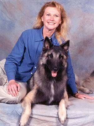 Jake the Belgian Tervuren laying down in front of a back drop taking a picture with his owner