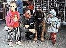 A Leonberger is sitting in front of a house and there is a man kneeling next to it. There is a little girl in a blue hat standing to the right of the dog. The left of the dog and man is a boy in a red shirt.