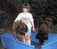 There is a girl standing in a pool and there is dog standing next to it and one is jumping into the pool.