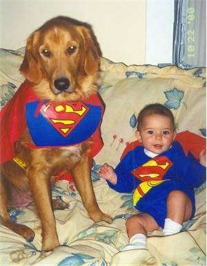 Max the Golden Retriever and TJ the baby are sitting on a bed next to each other. Max is dressed as Krypto the Super Dog and TJ is dressed as super man