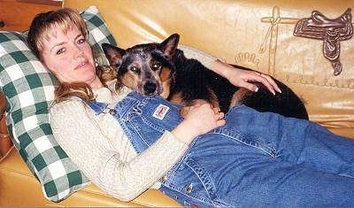 The left side of an Australian Cattle Dog that is cuddling with a lady on a couch.