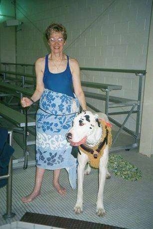 Baily the Great Dane is standing next to a lady named Dale at an indoor pool. There is a metal bench behind them