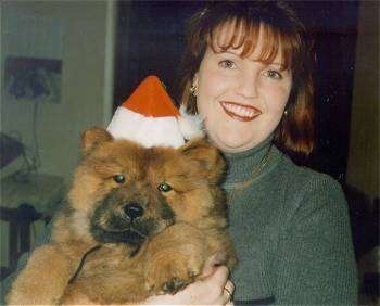 Caboose the Chow Chow puppy looks like a teddy bear as he is being held in the air by his owner. Caboose has a Santa hat on and his owner is smiling
